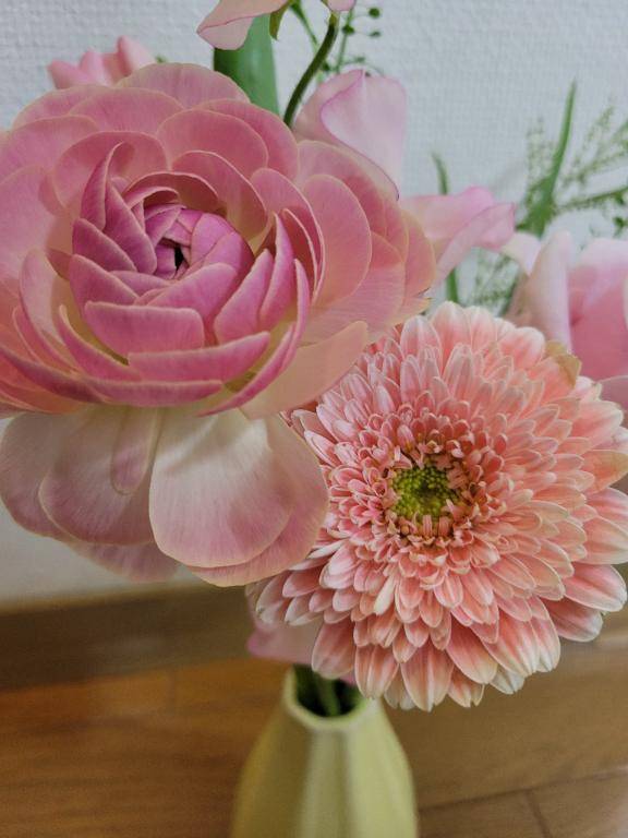 わこちゃん　写メ画像