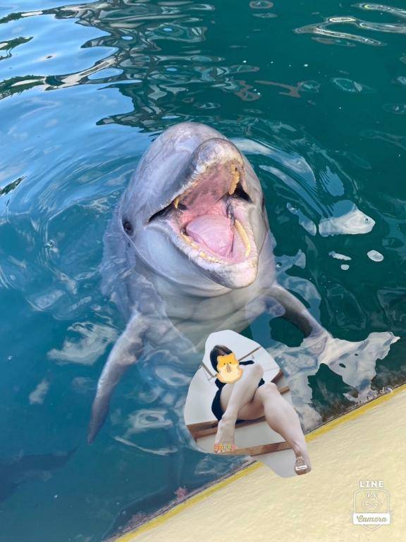 いづみちゃん　写メ画像