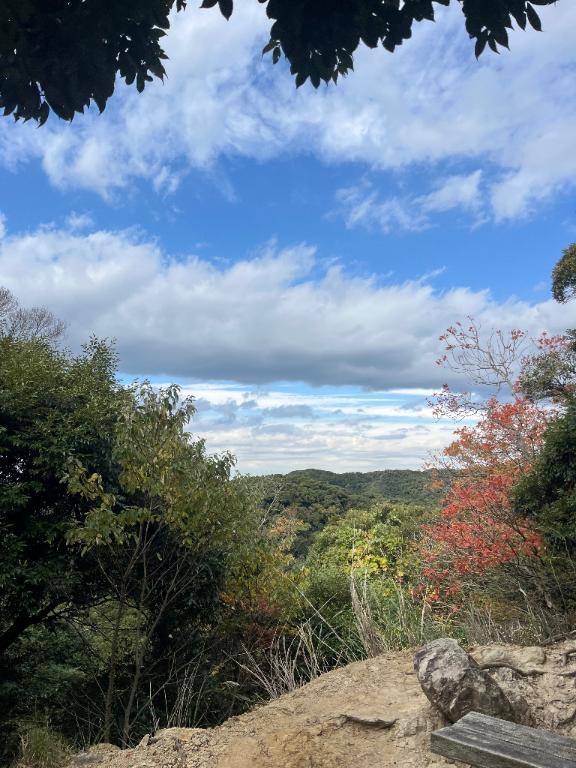 なおちゃん　写メ画像