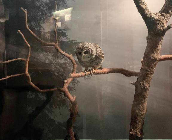 のあちゃん　写メ画像