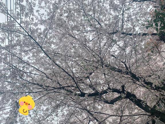 のあちゃん　写メ画像