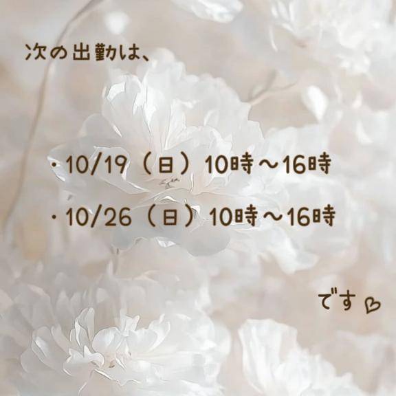 せりなちゃん　写メ画像