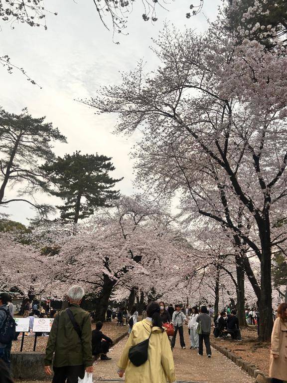 ひろかちゃん　写メ画像