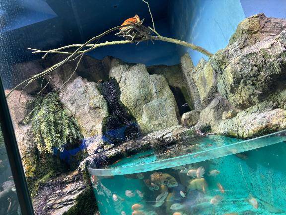 みずなちゃん　写メ画像