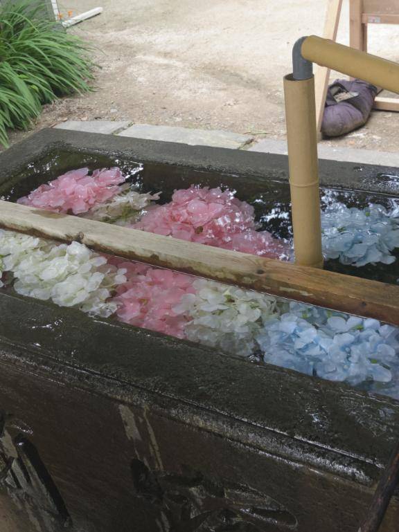 ちのちゃん　写メ画像