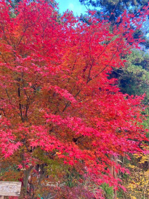 ちのちゃん　写メ画像