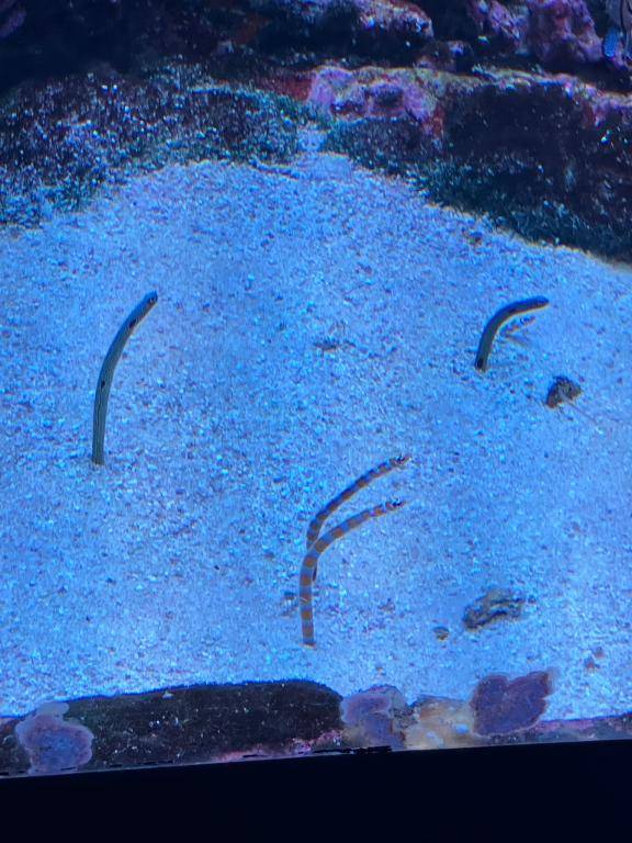 ちのちゃん　写メ画像