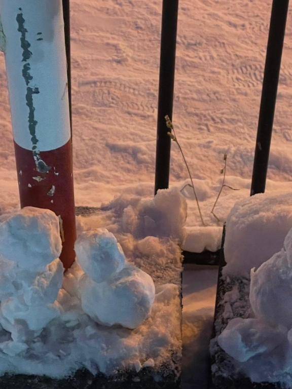 ちのちゃん　写メ画像