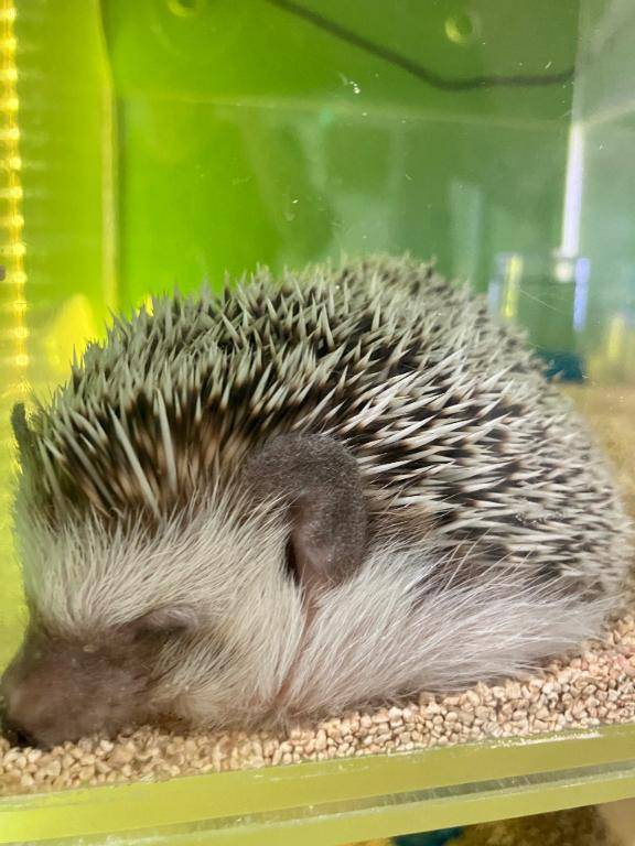 ちのちゃん　写メ画像