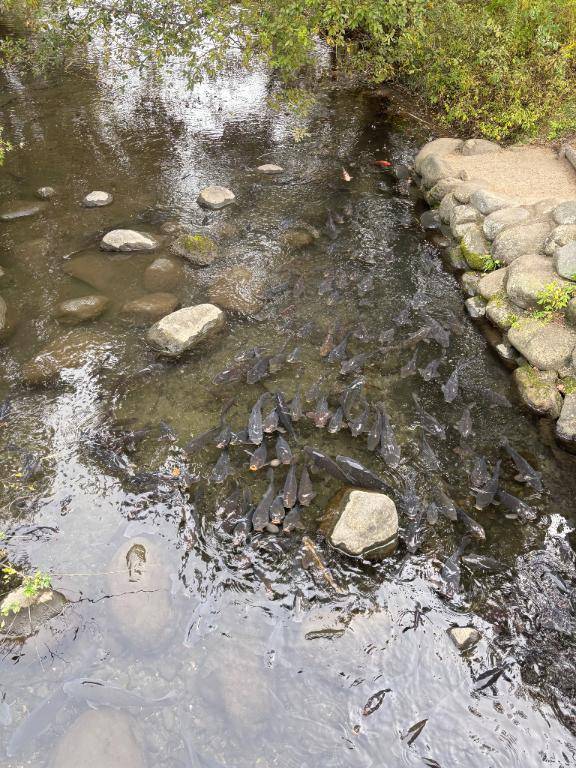 ちのちゃん　写メ画像