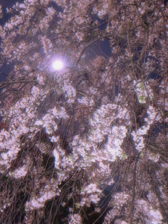 ちのちゃん　写メ画像