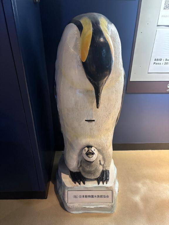 ちのちゃん　写メ画像