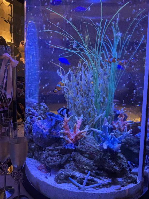 ちのちゃん　写メ画像